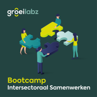 Visual bootcamp de kracht van samenwerken