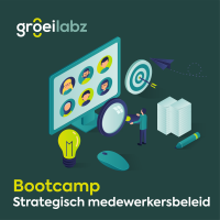 Visual bootcamp strategisch medewerkersbeleid