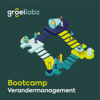 Visual bootcamp verandermanagement